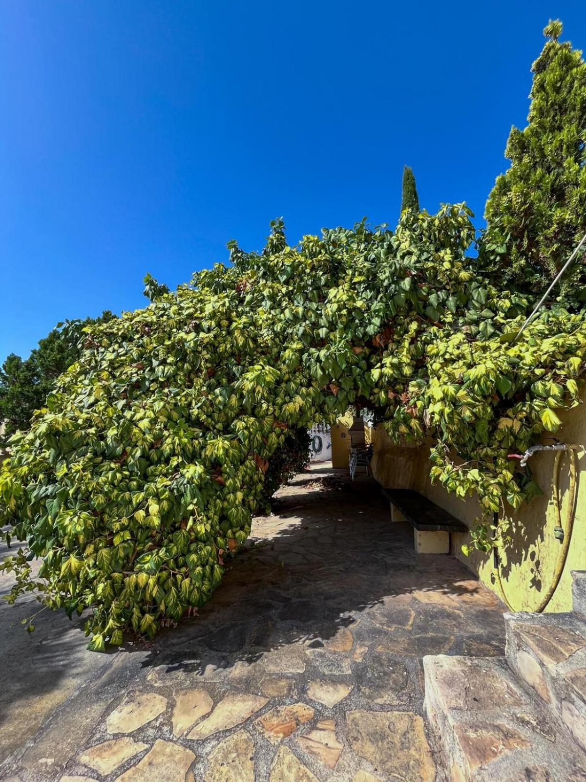Apartmán Casa Mar Benissa Calpe Exteriér fotografie