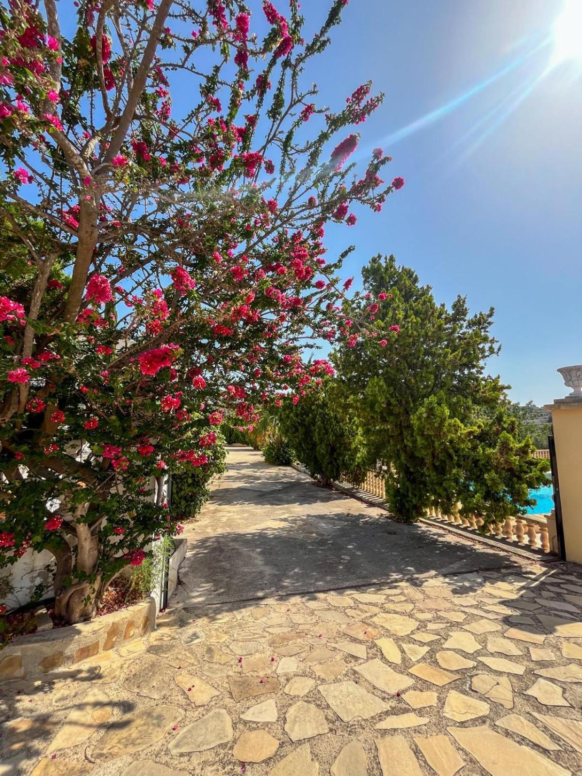 Apartmán Casa Mar Benissa Calpe Exteriér fotografie